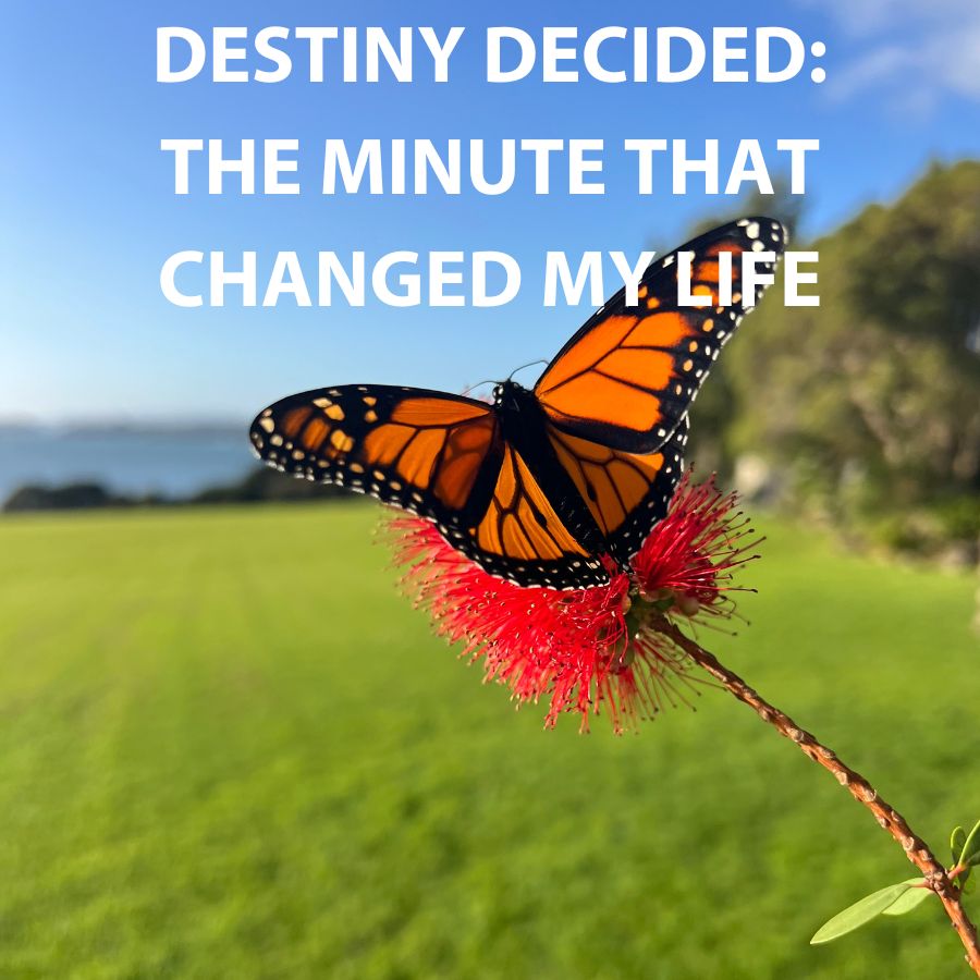 Destiny Decided: The Minute That Changed My Life—2018 in Review