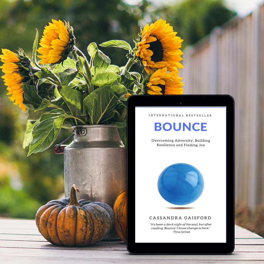 Bounce wellbeing book by Cassandra