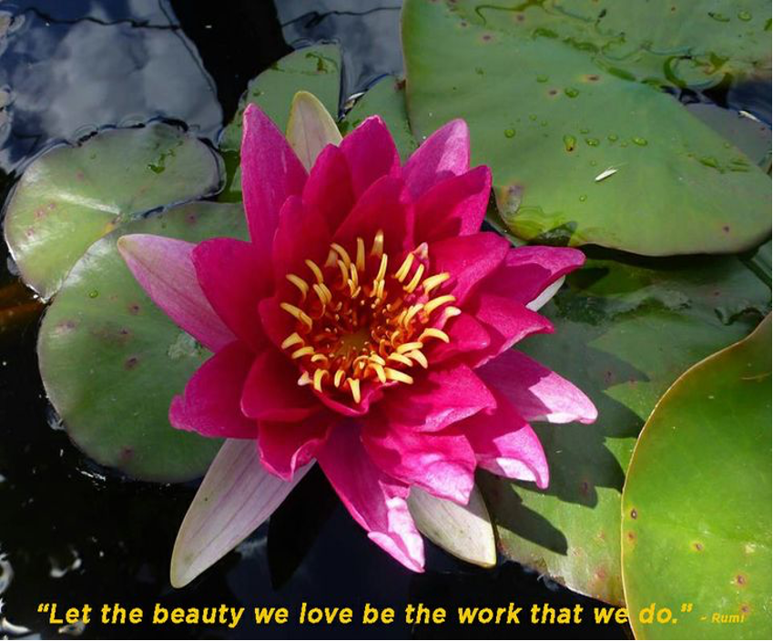 How Beauty and Love Can Help You Change Careers and Love Your Life Again