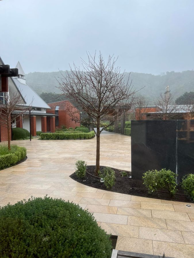 Grounds, Home of Compassion, Island Bay New Zealand