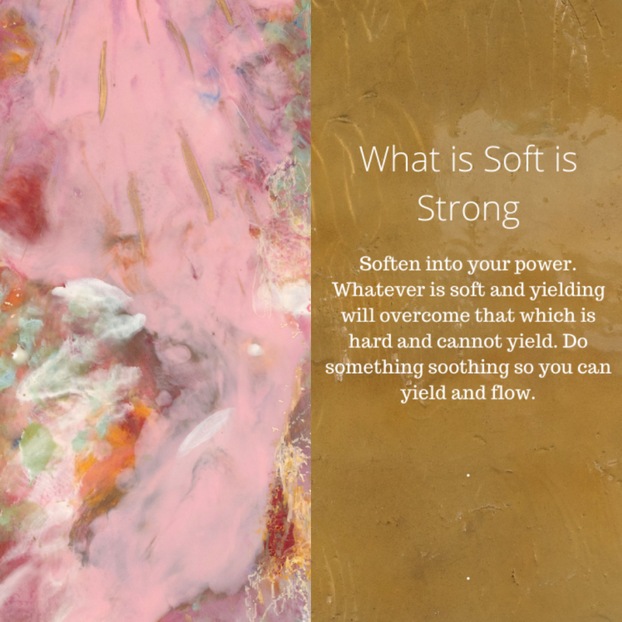 25 What is Soft is Strong The Art of Life Instagram Post)