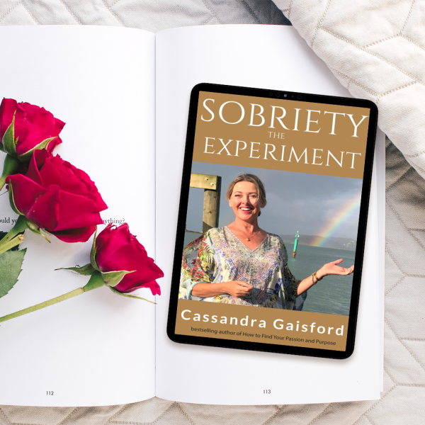 The Sobriety Experiment by Cassandra Gaisford