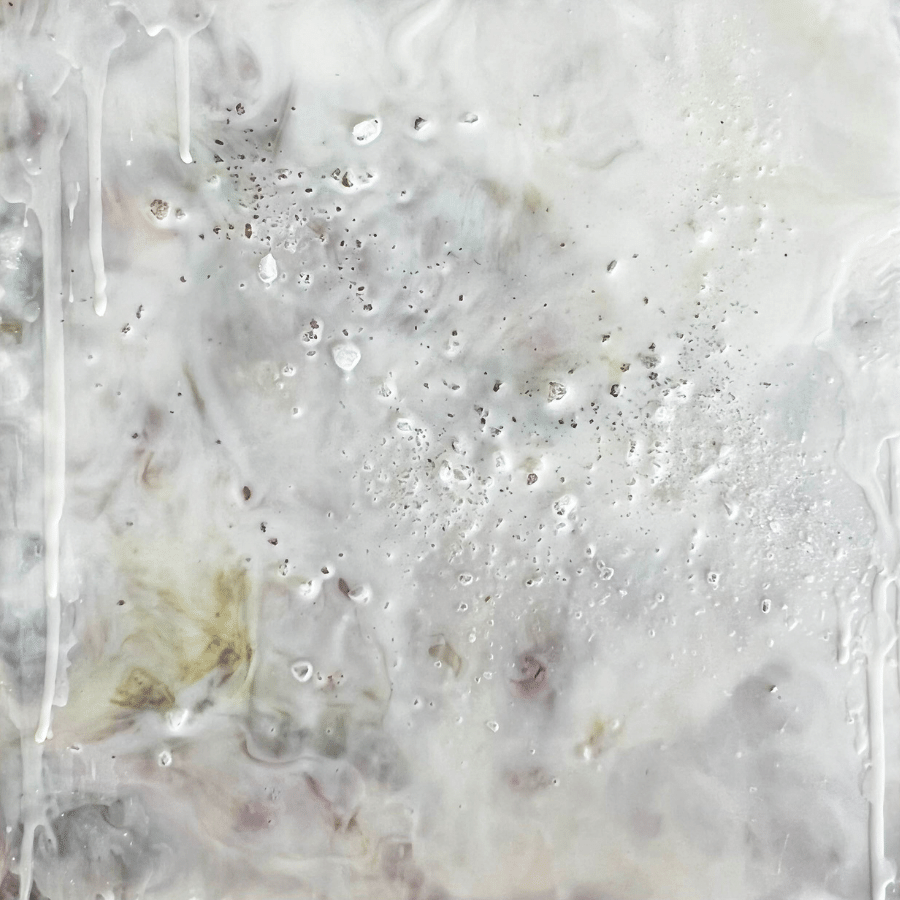 The Awakened Heart by Cassandra Gaisford