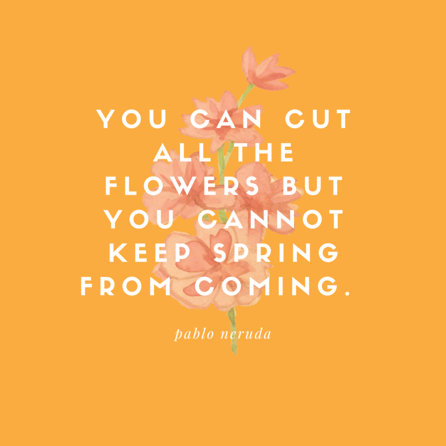 Orange Flower papblo neruda quote Spring Inspirational Instagram