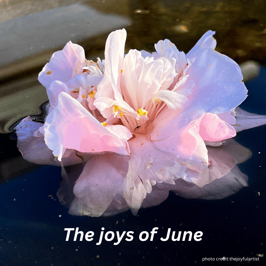The Joys of June