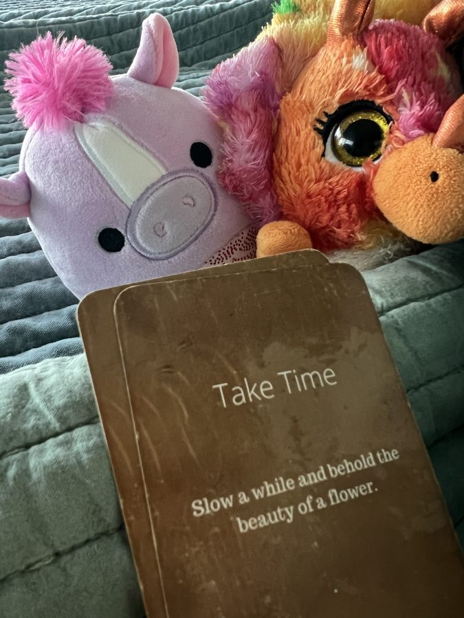 Miss-Violet-and-Mr-Orange