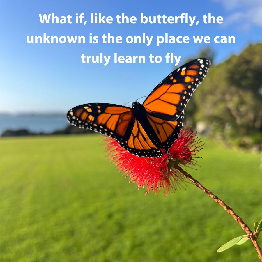 What Butterflies Teach Us About Letting Go and Holding On