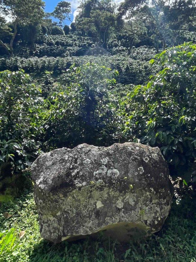 The Rock Finca Lerida