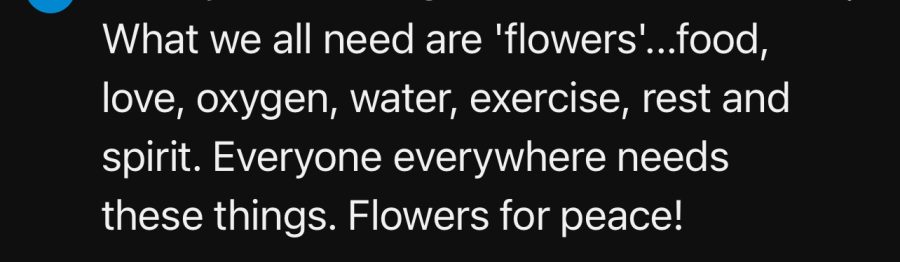 Flowers-for-Peace quote