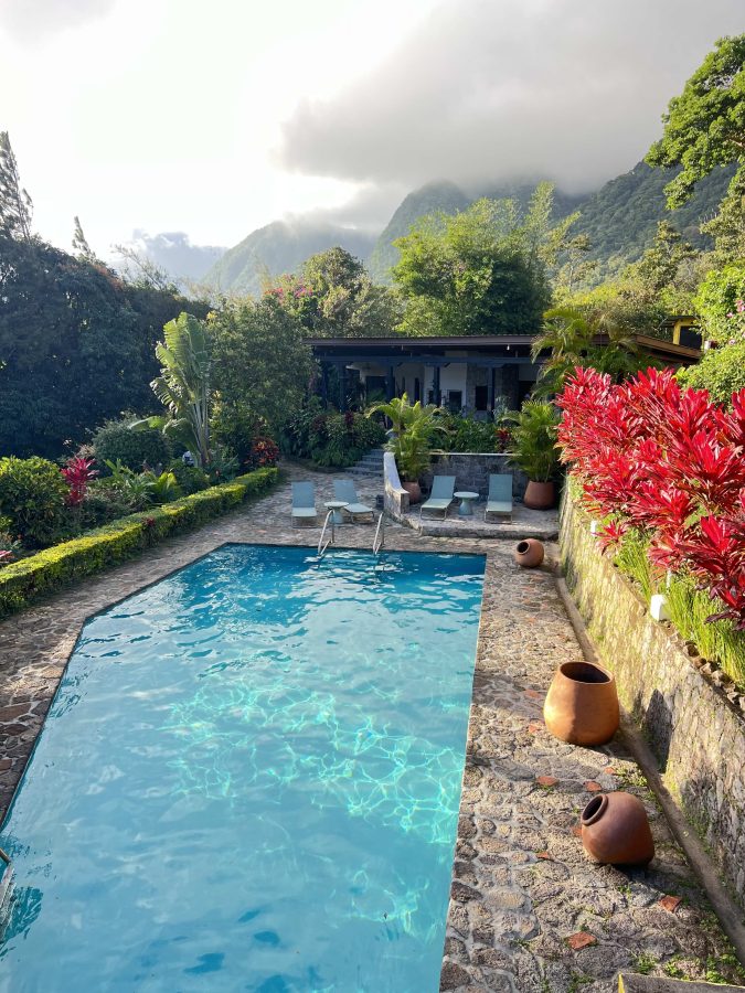 The golden Frog Anton Valle