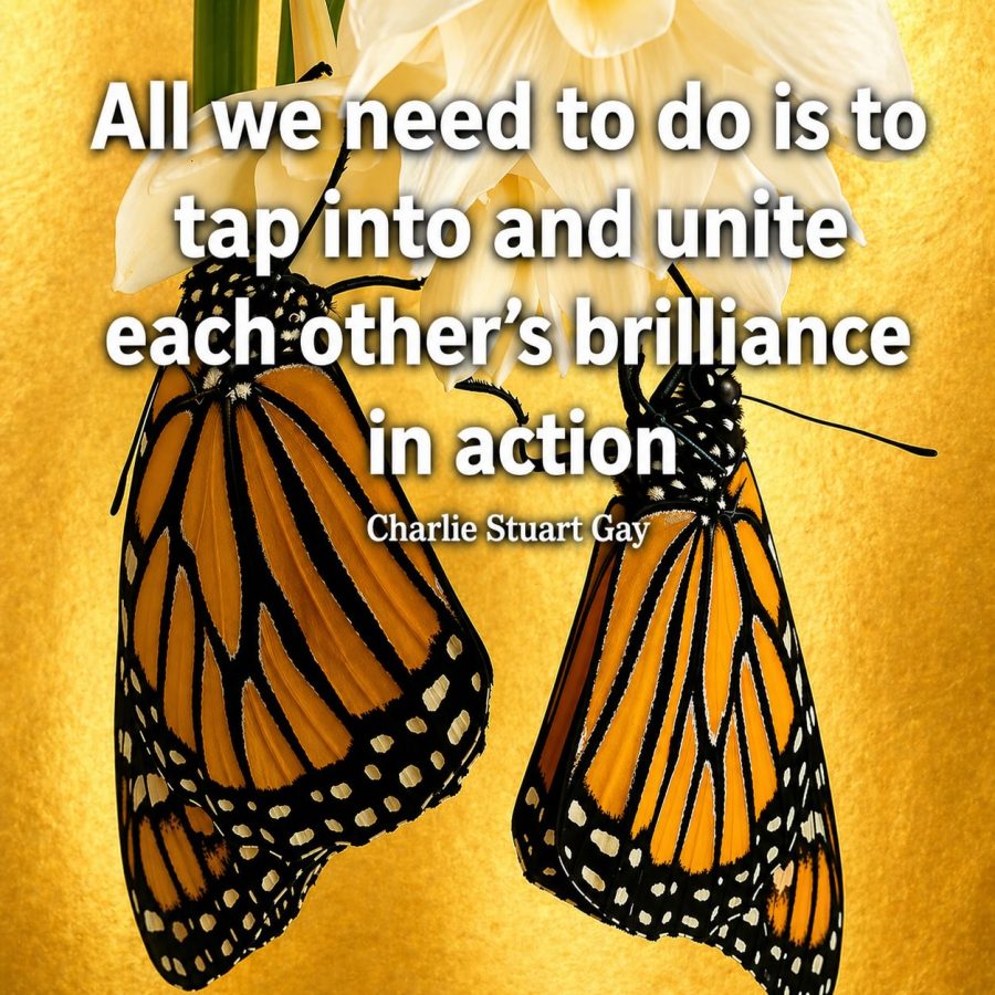 All we need to do is Brilliance in action Charlie Stuart Guy