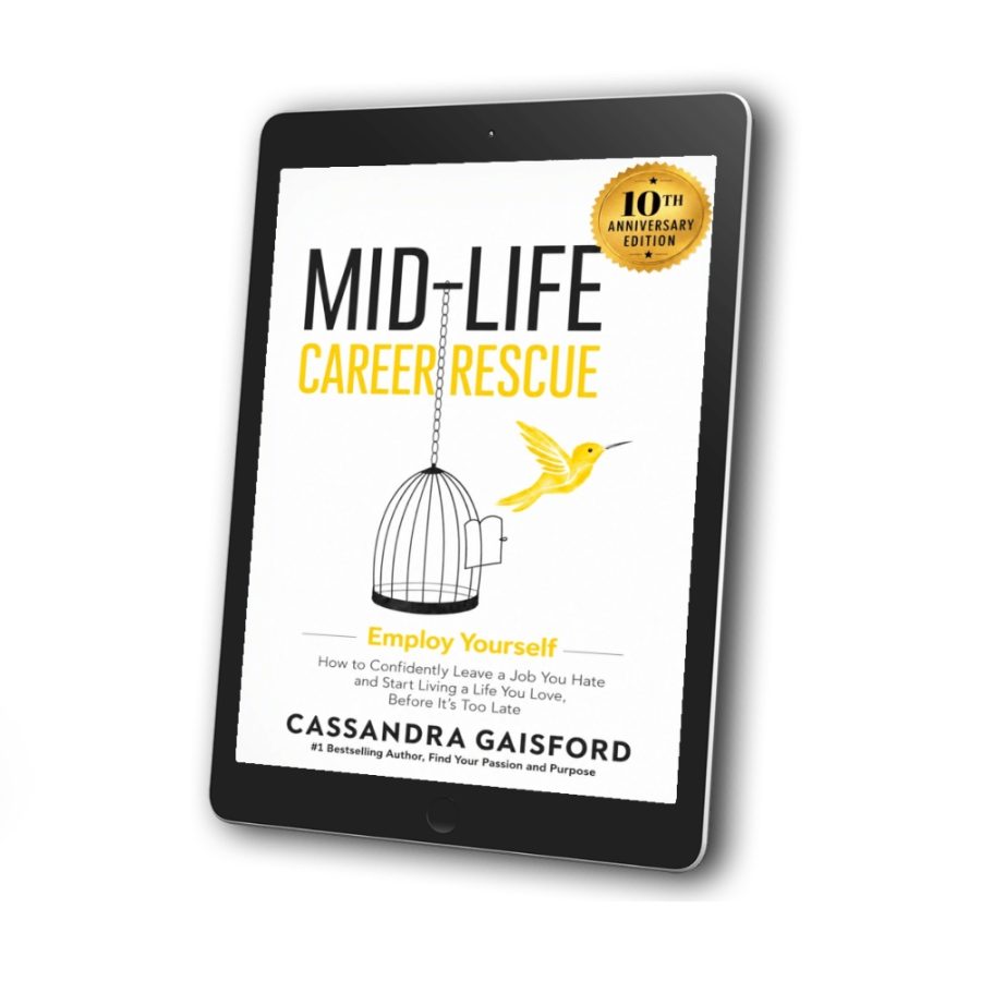 Mid-Life Career Rescue (Employ Yourself)